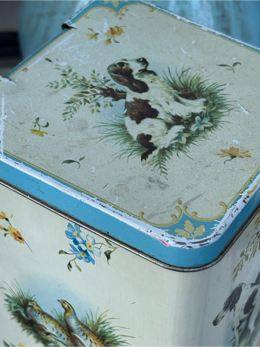 English Dog Tin - Picture 4 of 4